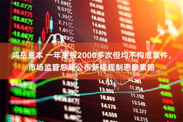 鸿岳资本 一年举报2000多次但均不构成案件，市场监管总局公布新规规制恶意索赔
